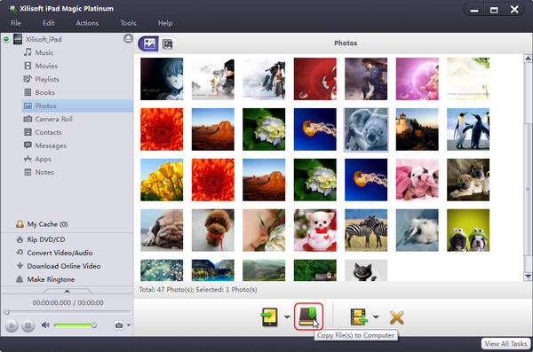 Backup iPad files to computer